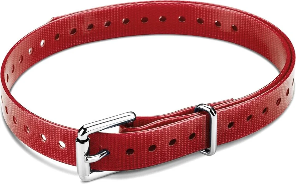 Halsband T5 mini - Rött (rullspänne) Fynd