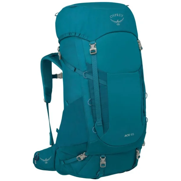 Expressleverans Ace 65L Blue Spikemoss/Deep Peyto