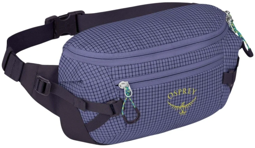 Transporter Waist Pack Pack Euphoria Purple/Purple Ink Utförsäljning