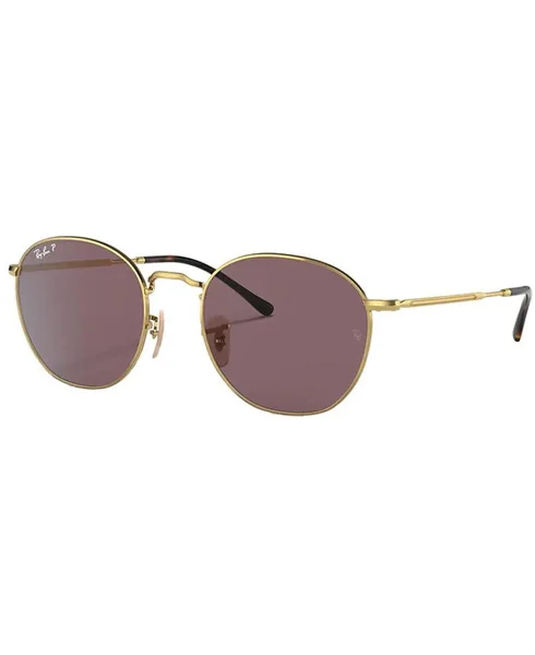 Rob Arista Dark Violet Polarized Erbjudande