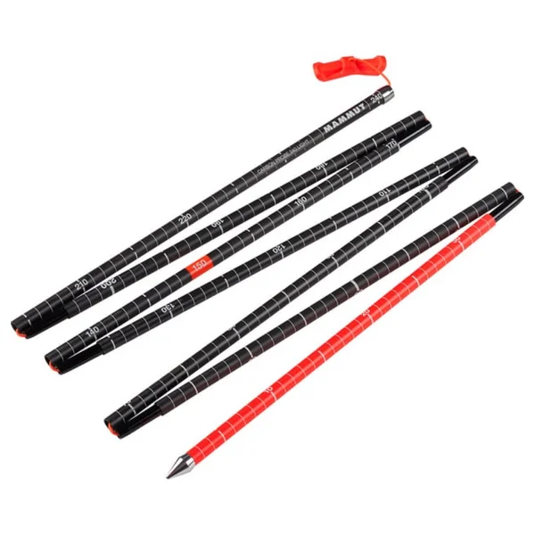 Carbon Probe 240 Light Vibrant Orange I lager