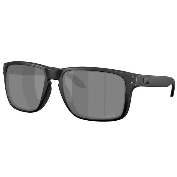 Populärt val Holbrook XXL Matte Black Prizm Black